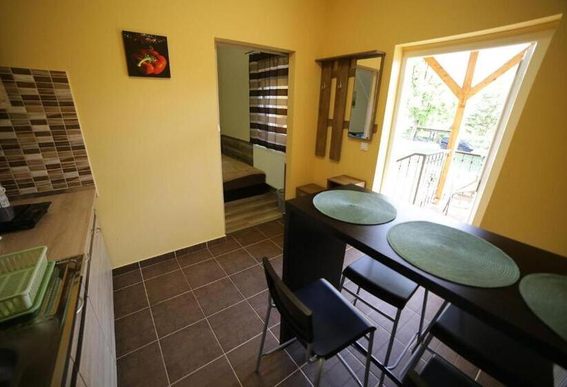 Апартаменты 1 Спальня с Террасой, Fónagy Apartmanok