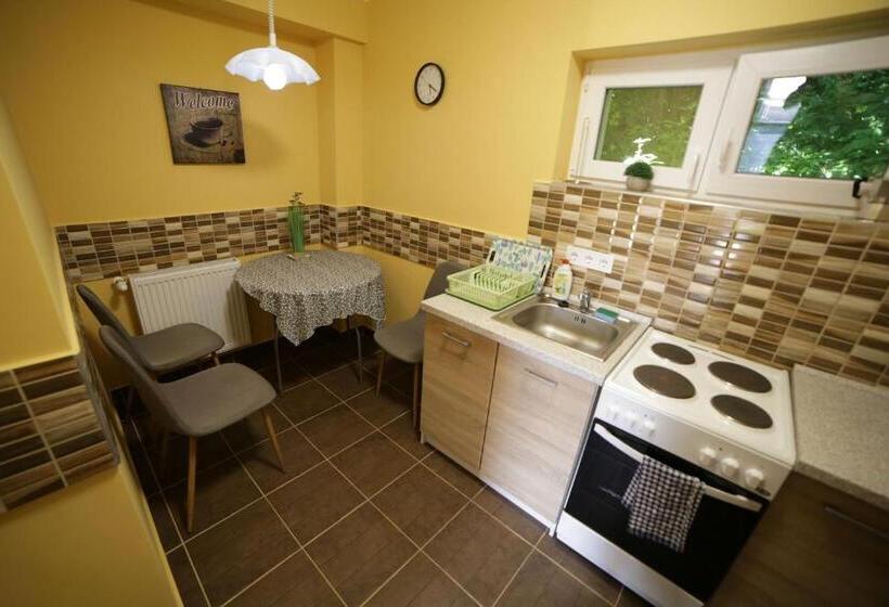 Апартаменты 1 Спальня Нижний Этаж, Fónagy Apartmanok