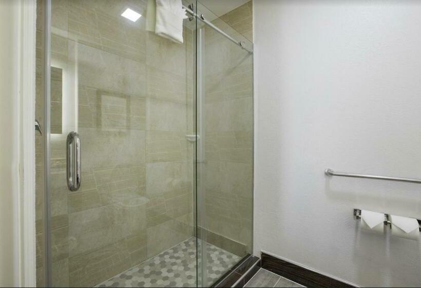 חדר סטנדרט, The Leo Collection Detroit, Ascend Hotel Collection