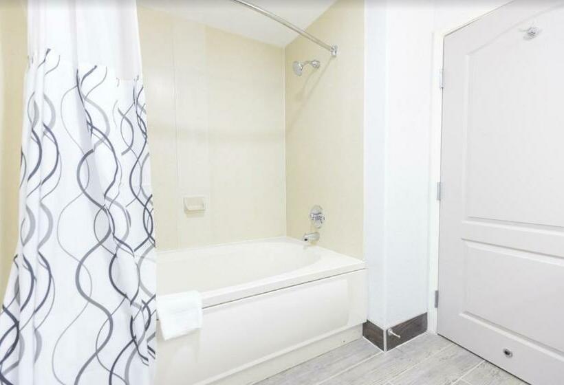 סוויטה, The Leo Collection Detroit, Ascend Hotel Collection