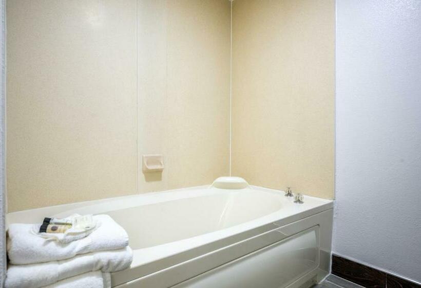 סוויטה עם ג'קוזי, The Leo Collection Detroit, Ascend Hotel Collection