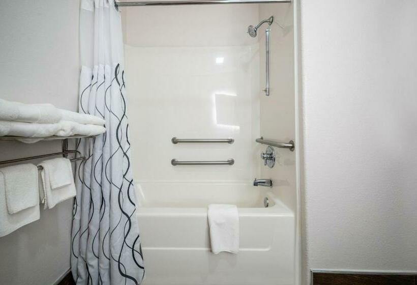 חדר סטנדרט מותאם לאדם עם מוגבלויות, The Leo Collection Detroit, Ascend Hotel Collection