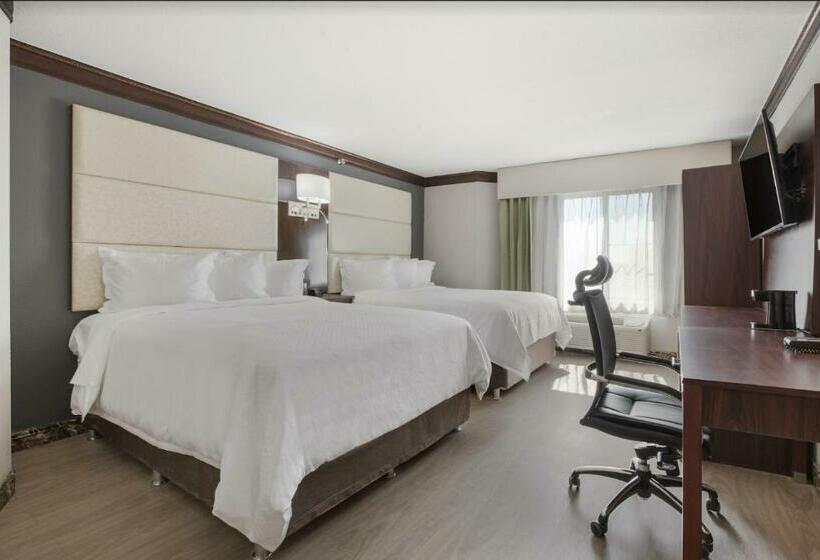 סוויטת סופריור, The Leo Collection Detroit, Ascend Hotel Collection