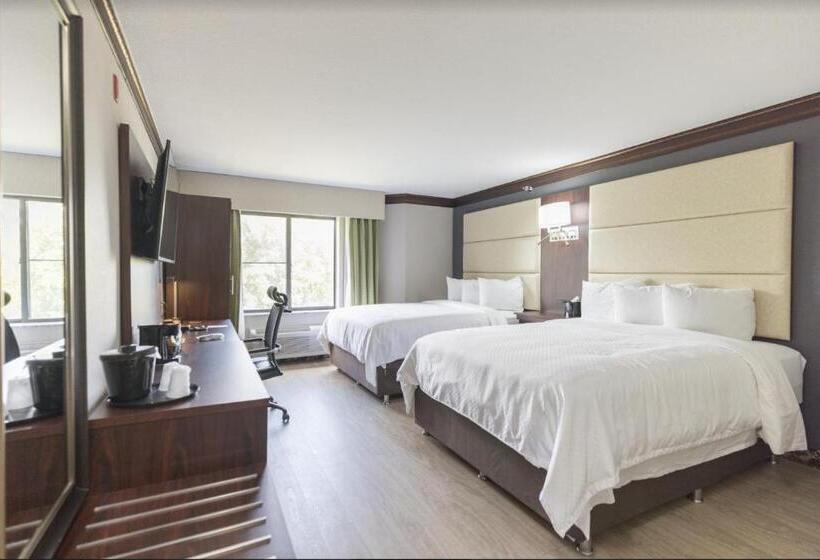 Номер Стандарт, The Leo Collection Detroit, Ascend Hotel Collection