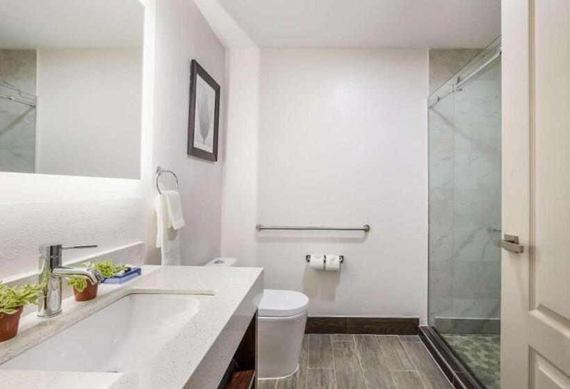 חדר סטנדרט, The Leo Collection Detroit, Ascend Hotel Collection