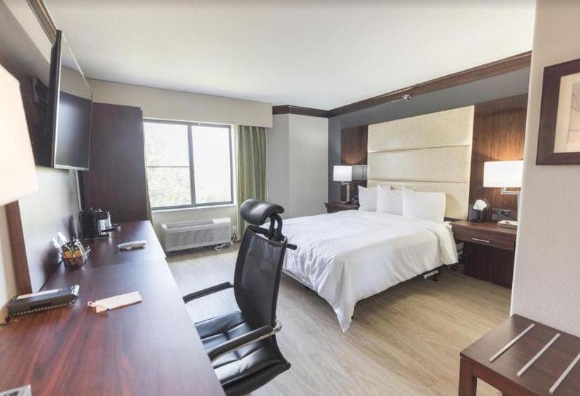 חדר סטנדרט מותאם לאדם עם מוגבלויות, The Leo Collection Detroit, Ascend Hotel Collection