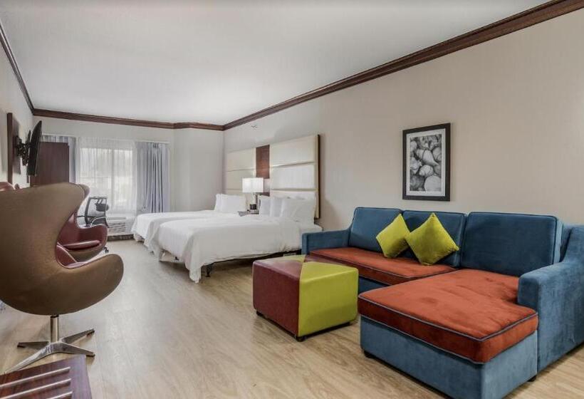 Номер Стандарт Адаптированный для Инвалидов, The Leo Collection Detroit, Ascend Hotel Collection