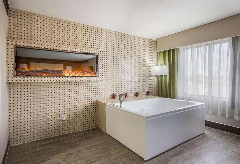 סוויטת סופריור, The Leo Collection Detroit, Ascend Hotel Collection