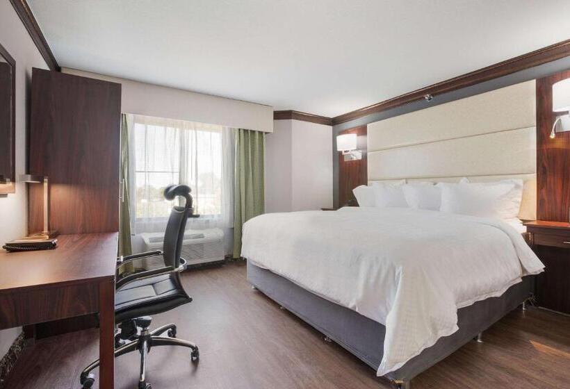 סוויטת סופריור, The Leo Collection Detroit, Ascend Hotel Collection