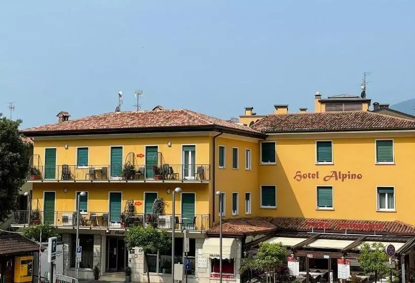 Camera Standard Singola con Balcone, Alpino