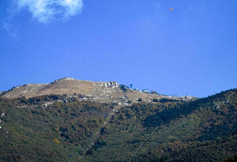 이코노미 룸, Alpino