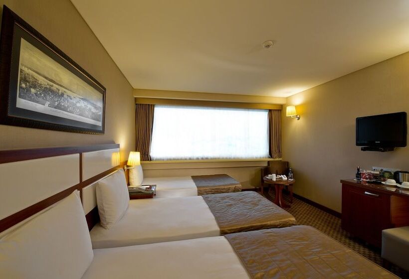 スタンダードルーム, Istanbul Golden City