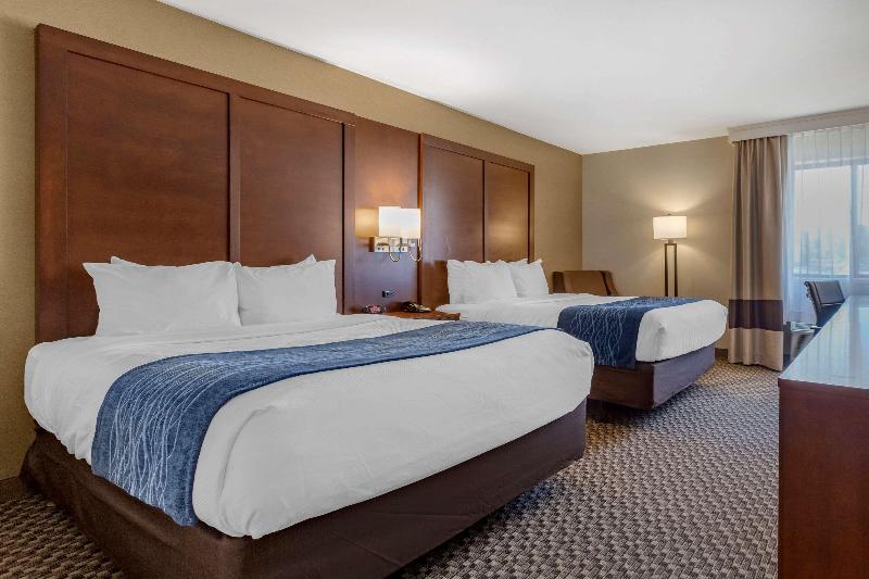 Номер Стандарт, Al Ritrovo