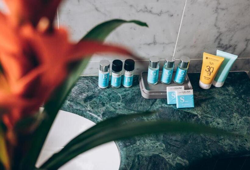 חדר סטנדרט, Arc En Ciel