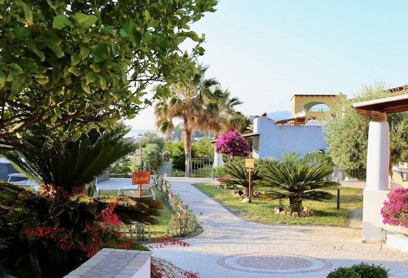 标准三人间, Bougainville