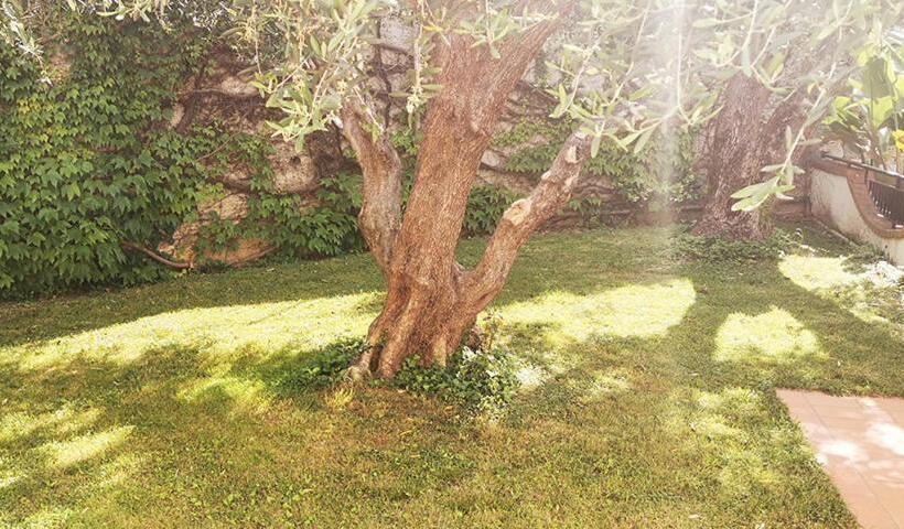 带1个卧室带花园景观的公寓, Residence Dei Fiori