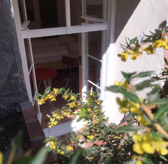 带露台的标准工作室, Das Hornsteiner