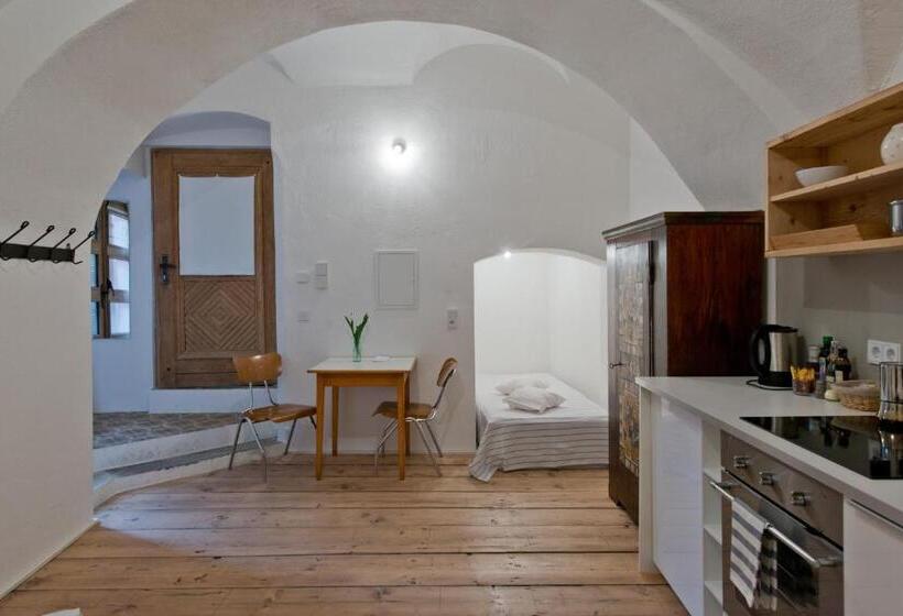 إستوديو قياسى مزودة بتراس, Das Hornsteiner