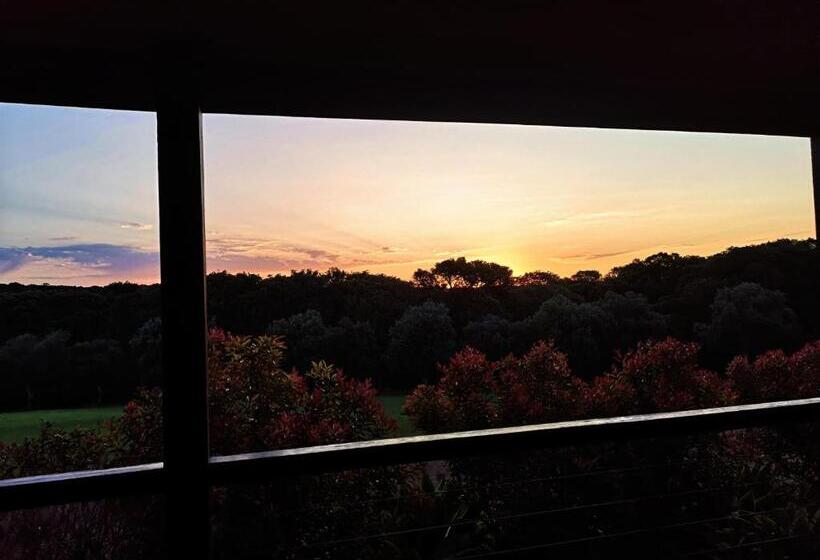 Номер Deluxe, Karriview