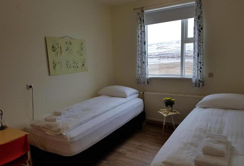 اتاق استاندارد با سرویس بهداشتی مشترک, Húsabakki Guesthouse