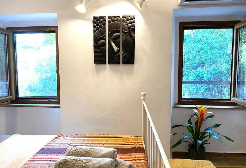 اتاق استاندارد با تخت بزرگ, Healthystudio512 Apartments