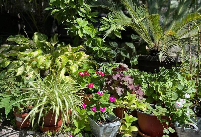 اتاق سوپریور با تخت بزرگ, Healthystudio512 Apartments