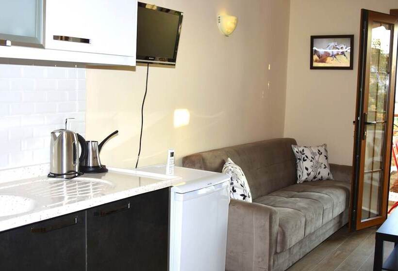 آپارتمان عادی 1 خوابه, Dasis Hotel & Suites