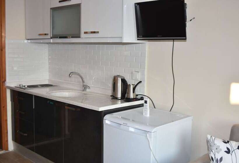 آپارتمان عادی 1 خوابه, Dasis Hotel & Suites