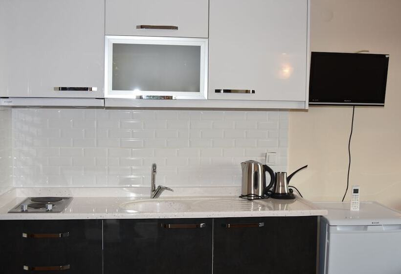 آپارتمان عادی 1 خوابه, Dasis Hotel & Suites