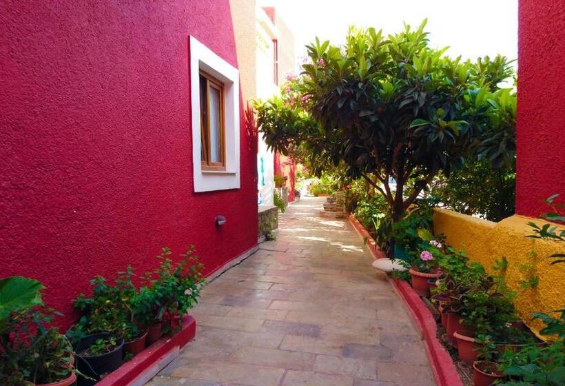 Apartament 1 Dormitori, Katerini Apartments