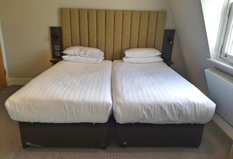 豪华房间, Garden Court