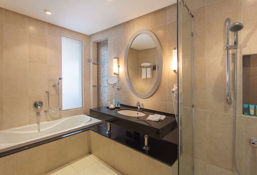 اتاق استاندارد با تراس, Radisson Blu Hotel & Convention Center, Alexandria