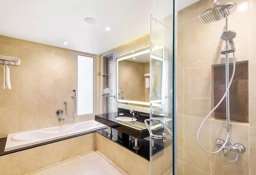 اتاق اجرایی, Radisson Blu Hotel & Convention Center, Alexandria