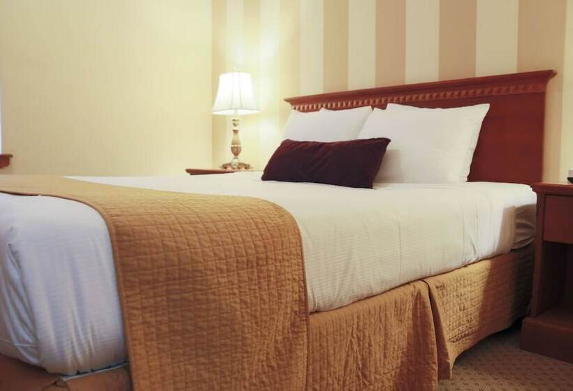 اتاق استاندارد با تخت دوبل, St. James