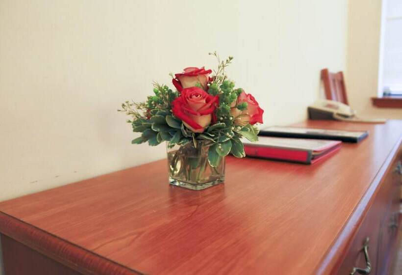 标准间带双人床, St. James