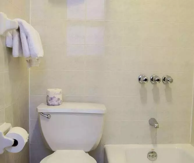 اتاق استاندارد با 2 تخت دوبل, St. James