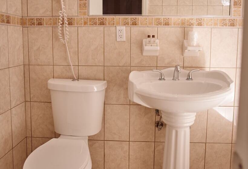 带2个双人床的标准工作室, St. James