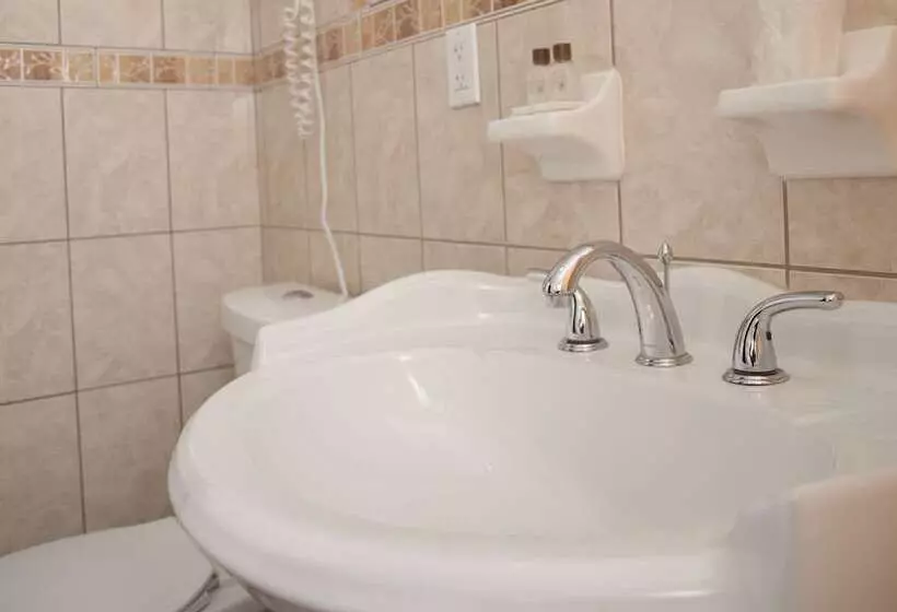 اتاق استاندارد با 2 تخت دوبل, St. James
