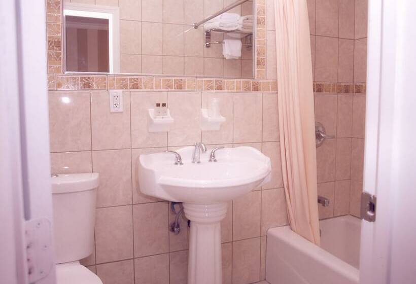 带2个双人床的标准工作室, St. James