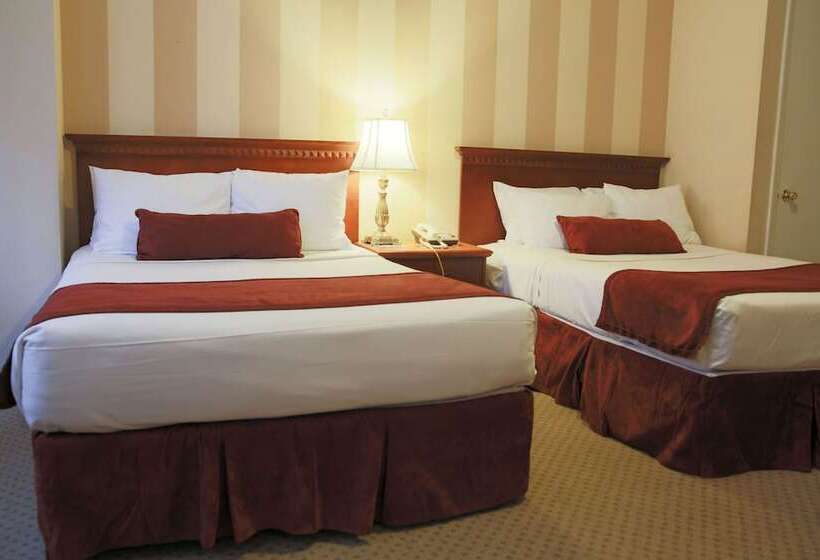 带2个双人床的标准工作室, St. James