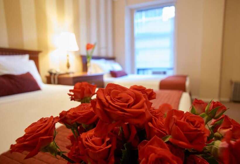 带2个双人床的标准工作室, St. James