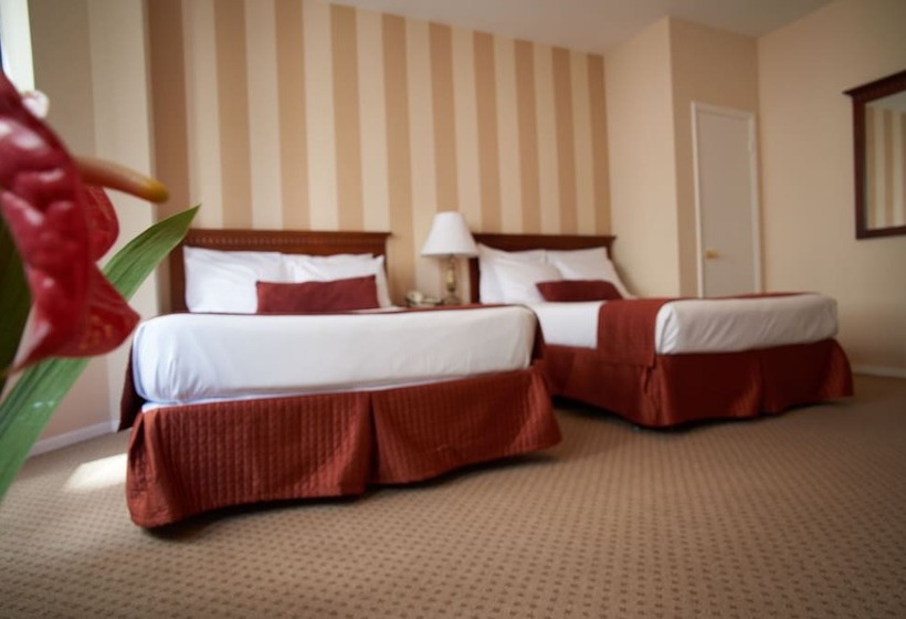 带2个双人床的标准工作室, St. James