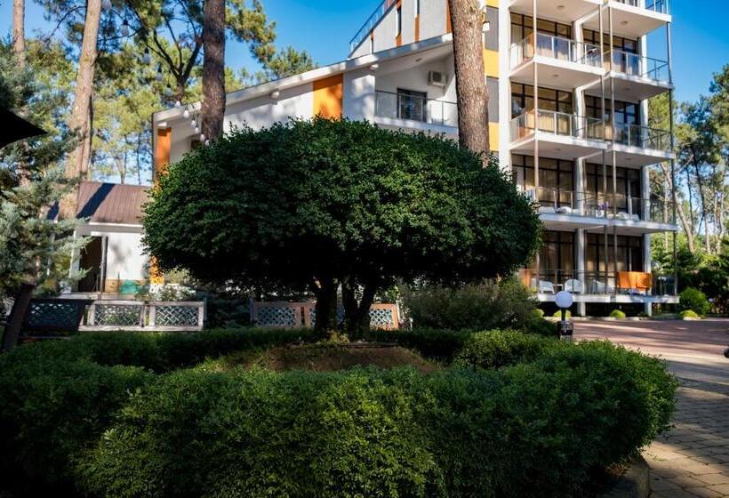 اتاق استاندارد, Buxus Hotel Shekvetili