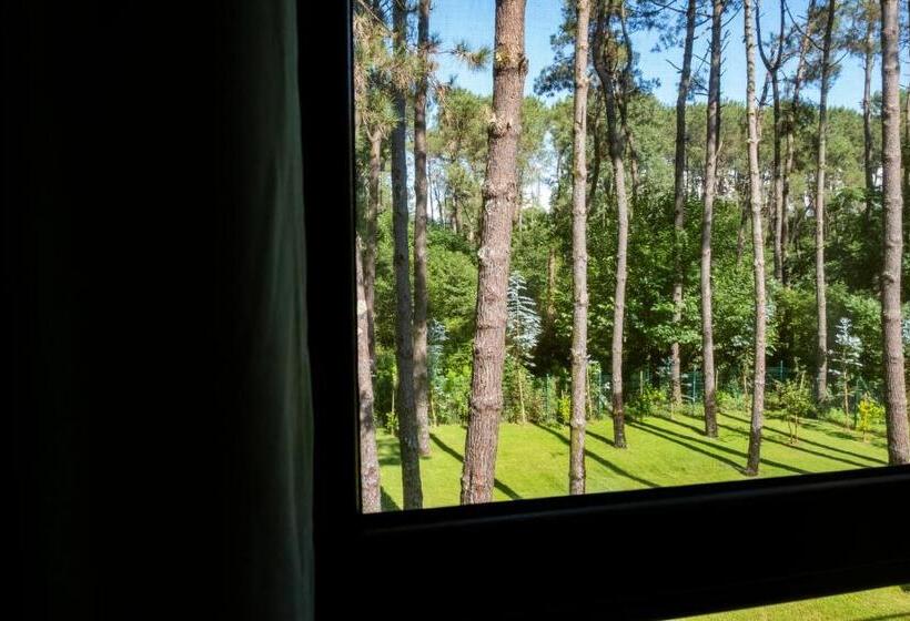 اتاق استاندارد, Buxus Hotel Shekvetili