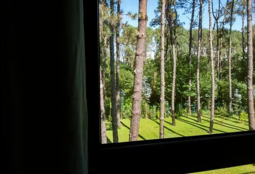 اتاق استاندارد, Buxus Hotel Shekvetili