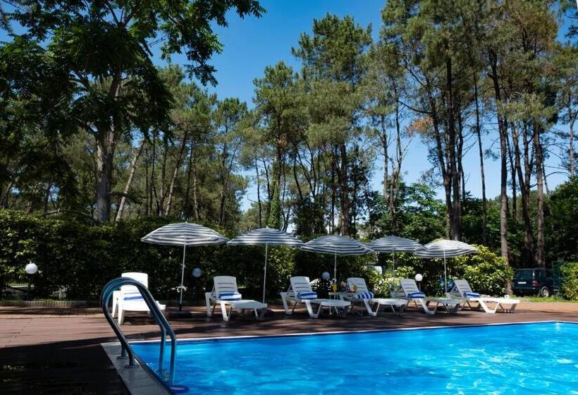 اتاق استاندارد, Buxus Hotel Shekvetili