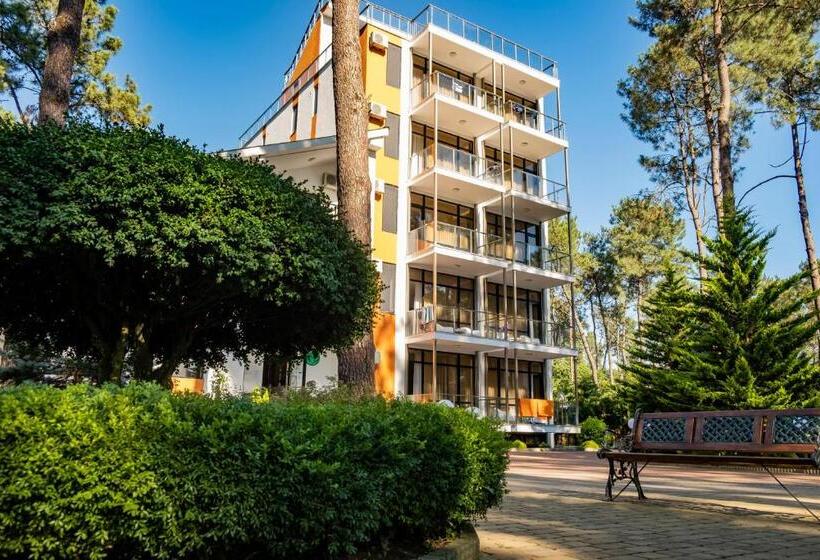 اتاق استاندارد, Buxus Hotel Shekvetili