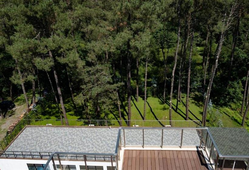 اتاق استاندارد, Buxus Hotel Shekvetili