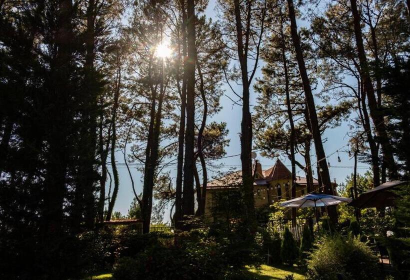 اتاق لوکس, Buxus Hotel Shekvetili