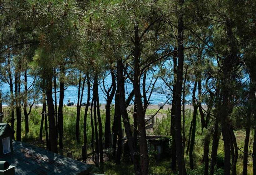 اتاق لوکس, Buxus Hotel Shekvetili